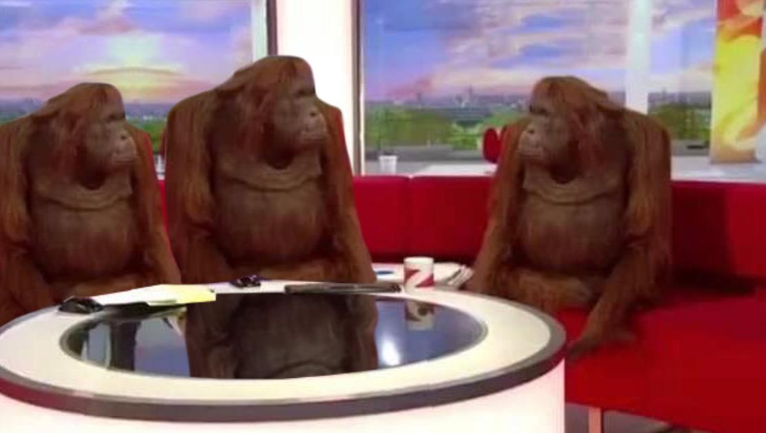 3 Monkeys in Studio meme template