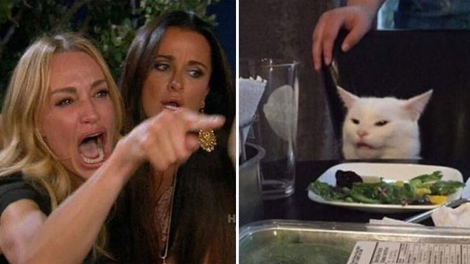 Angry lady cat meme template