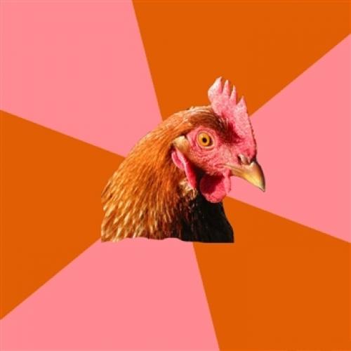 Anti Joke Chicken meme template