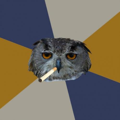 Art Student Owl meme template