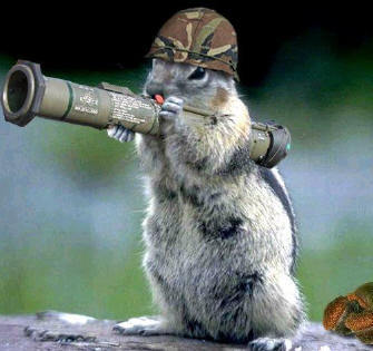 Bazooka Squirrel meme template