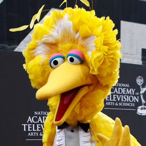 Big Bird meme template