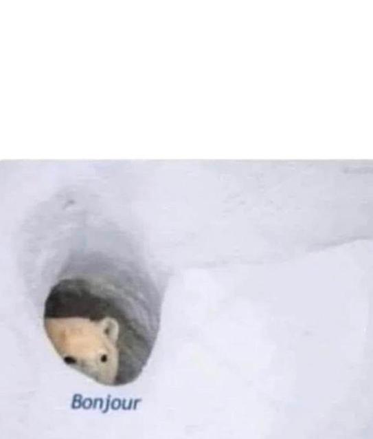 Bonjour meme template