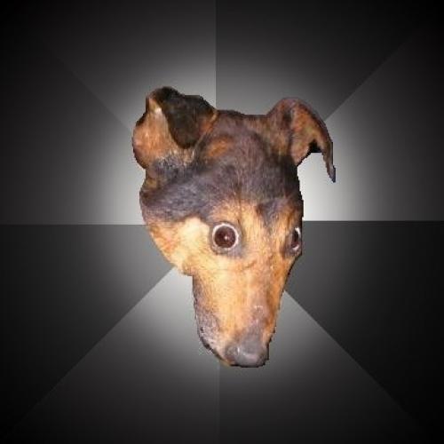 Depression Dog meme template