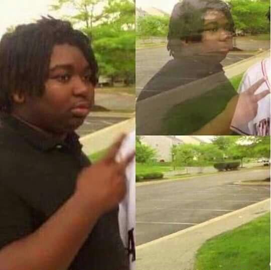 disappearing  meme template