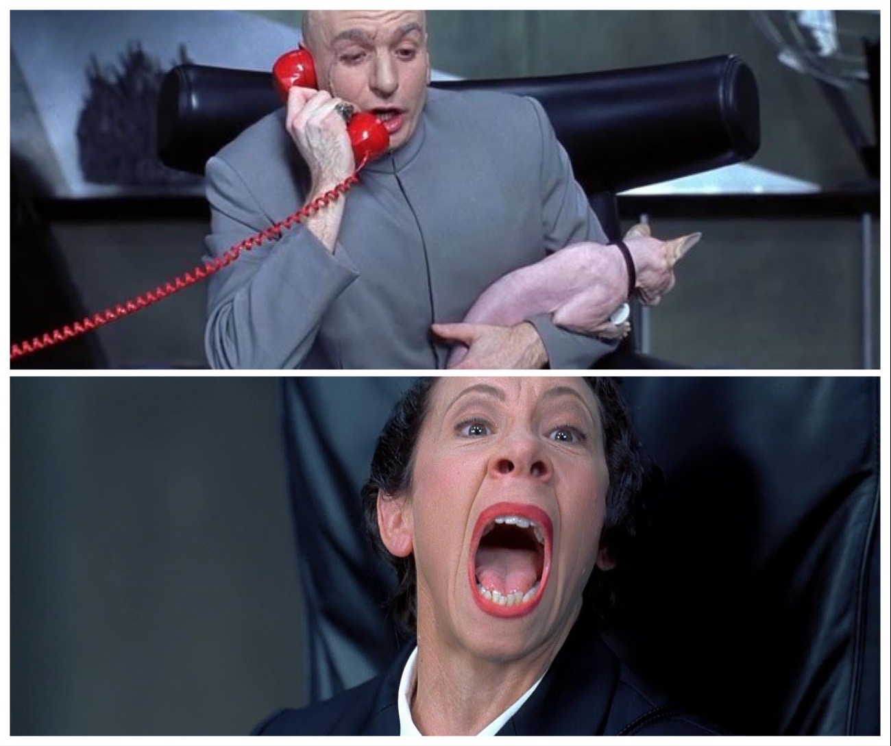 Dr Evil and Frau Yelling meme template