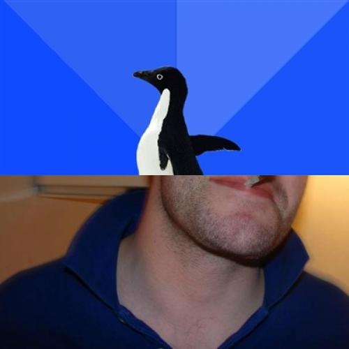 Good Guy Socially Awkward Penguin meme template