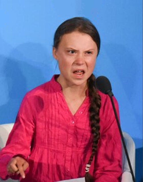 Greta Thunberg how dare you meme template