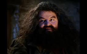 hagrid yer a wizard meme template