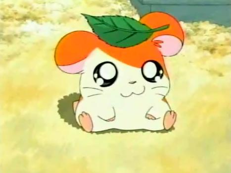 Hamtaro meme template