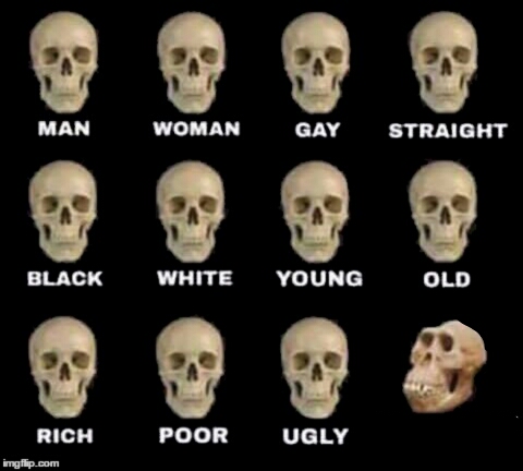 idiot skull meme template