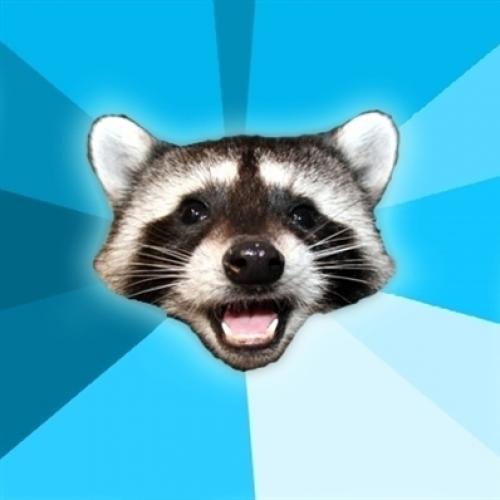 Lame Pun Coon meme template