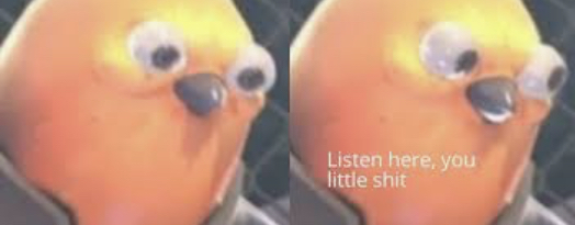 Listen here you little shit bird meme template