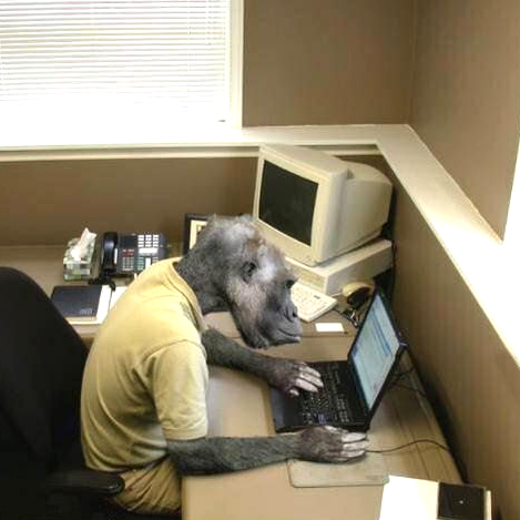 Monkey Business meme template