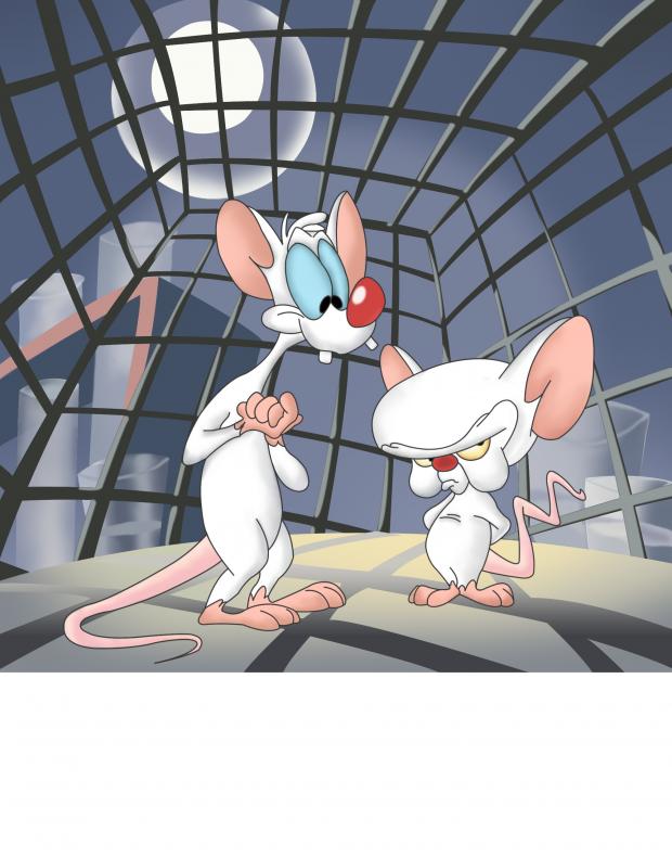 Pinky and the brain meme template