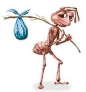 Sad ant with bindle meme template