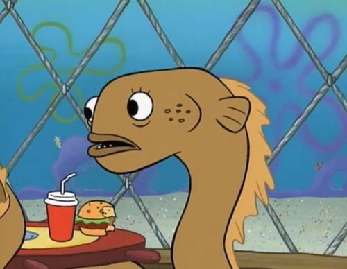 Sadly I Am Only An Eel meme template