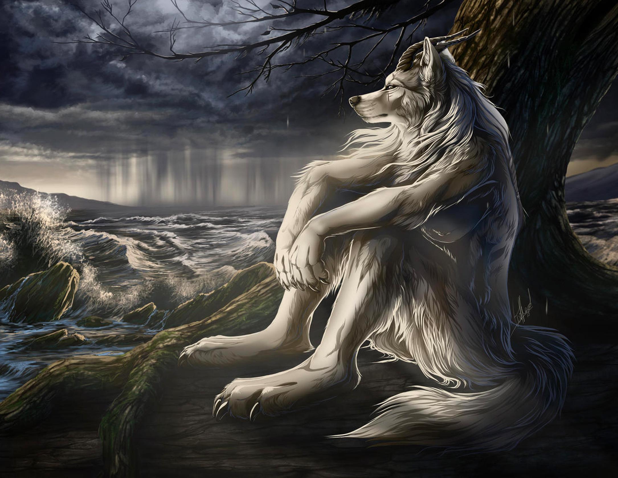 Sitting Wolf meme template