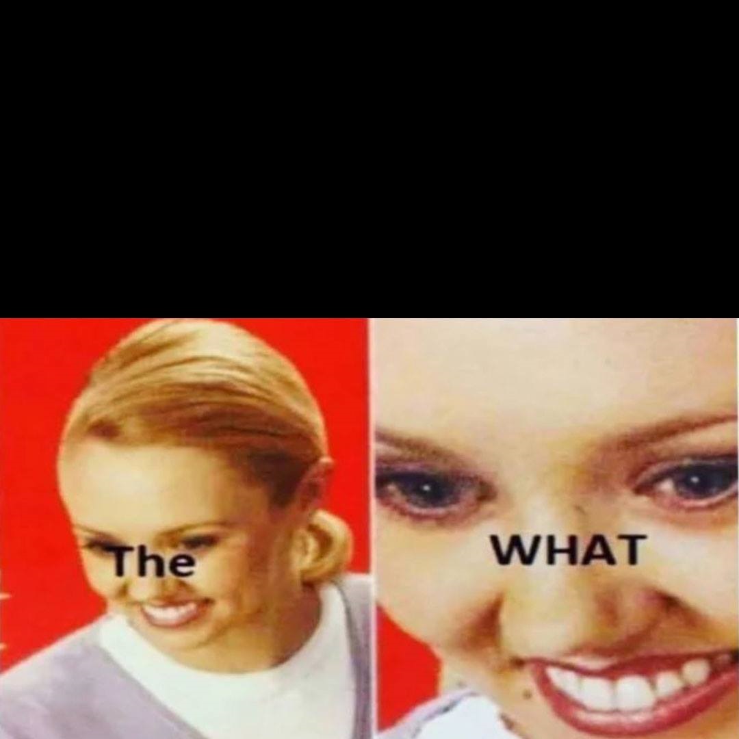 The What meme template
