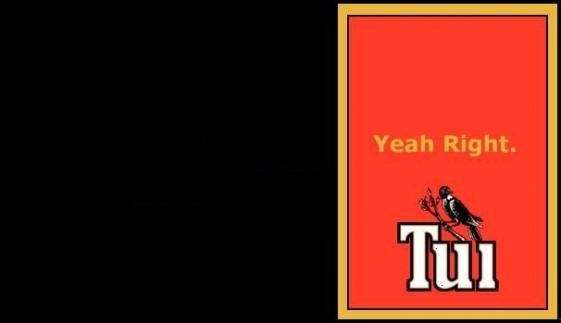 Tui meme template