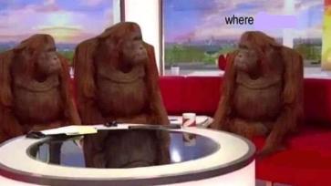 Where Banana (blank) meme template