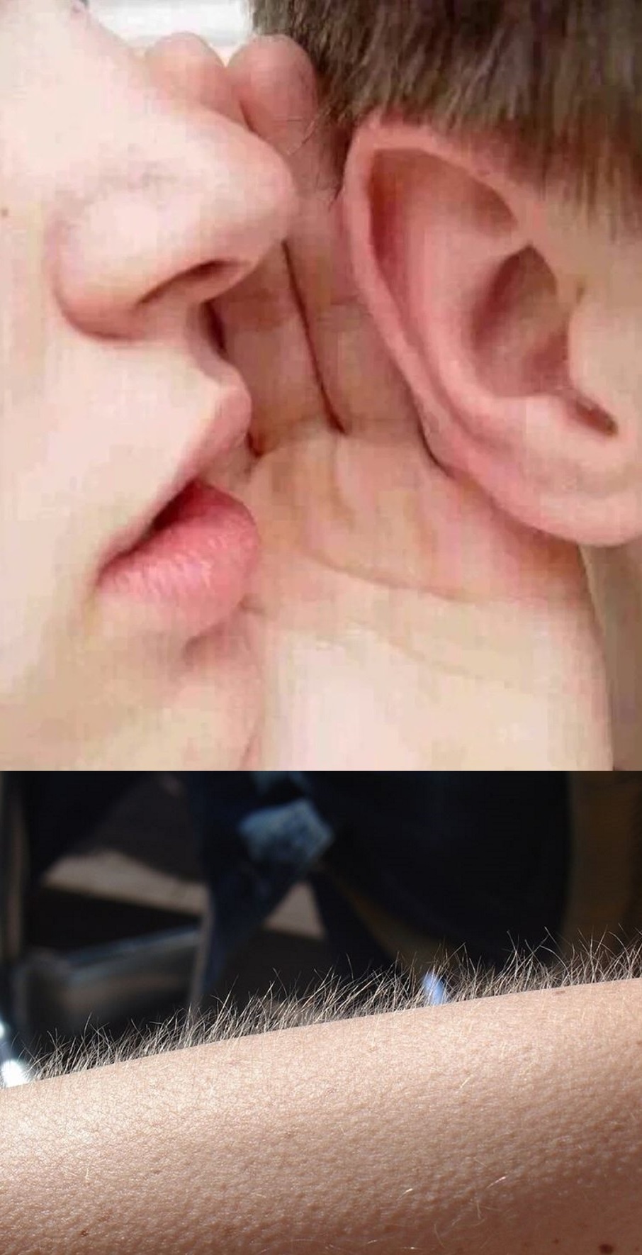 whisper in ear goosebumps meme template