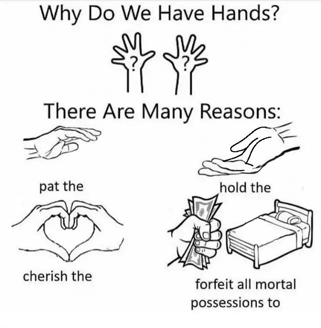 Why do we have hands? (all blank) meme template