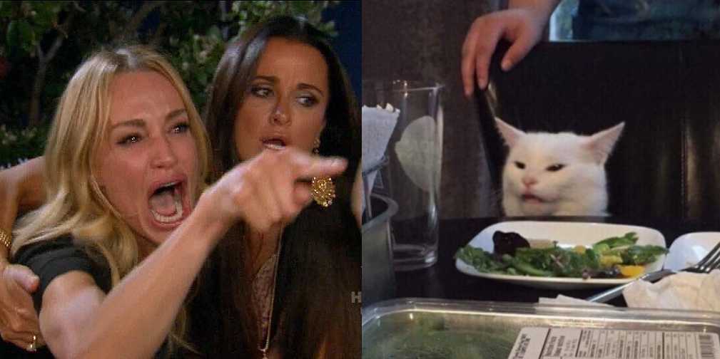 Woman Yelling At Cat meme template
